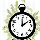 Clock face with leaves growing out, symbolizing mindful time