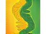 Healthy gut microbiome illustration