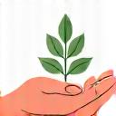 Two hands gently holding a small plant sprout